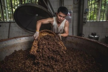 捕捉生活点滴温柔，茅台集团为员工提供免费早餐，增强员工幸福感